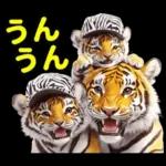 大阪神戸の野球好き虎ファン向け2