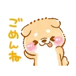 今日はもつ鍋♪
