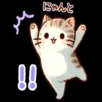 かわいい猫😺が来ますよ！