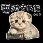 やる気ゼロ♡にゃんこ