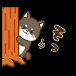 黒豆柴 あずき♡毎日使える 秋冬ver