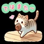 かわいい猫😺が来ますよ！