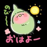 可愛いインコちゃんと一緒に冬を過ごしましょう！