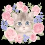 こんにちは