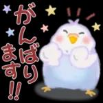 あなたの目には無限の優しさが映る🤩🤩