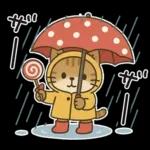 猫ちゃんとスイーツと夏