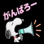 願いが叶いますように！