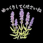 午後はちょっと休憩～～	前進の原動力😆😆😆