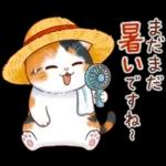 三毛猫のつめあわせ【秋】