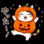 三毛猫のつめあわせ【秋】