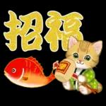 冬のキラキラおめめの子猫ちゃん