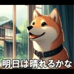 夏の天気をお知らせする柴犬【便利・日常】