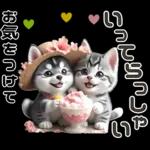 夏 猛暑 酷暑♡シベリアンハスキーとネコ