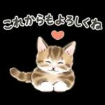 冬の毎日と年末年始☆猫たちのスタンプ