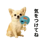 かわいい絵文字111