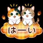 三毛猫のつめあわせ【秋】