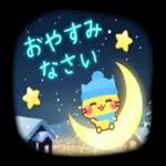 今年こそ!
118
30