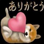 さすが！柴犬（よく使う言葉編２）