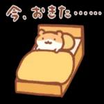 ニャー星人の楽園🥰