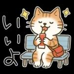 猫ちゃんとスイーツと夏