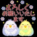 あなたの目には無限の優しさが映る🤩🤩