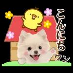 かわいいわんちゃん