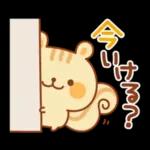 シマリスのマリーちゃん