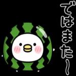 ちびトリ★夏の気づかい