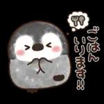 ふんわりペンちゃん【家族連絡用】