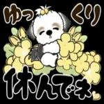 あたたかくお過ごしください♨︎