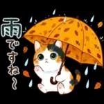 三毛猫のつめあわせ【秋】
