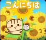 夏も飛び出す♪ ネコちゃん ハムちゃん