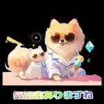 癒しポメラニアンの春のあいさつ 2