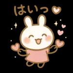 ✨白うさぎさん🐰 2