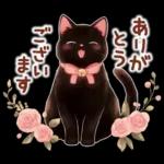 黒猫のつめあわせ♪