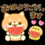 熱中症に気をつけて🫠🫠🫠