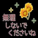 寒くなりましたね〜お体を大切に〜