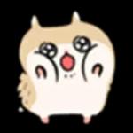 ハムスターの子