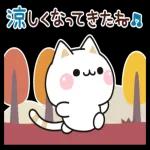 秋の気づかいのできるネコ♪飛び出す！