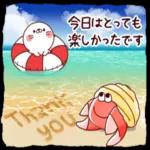 ぶちゃこの日常（夏真っ盛り）