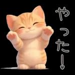 ぽっちゃりちび橘猫