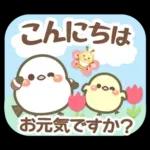 幸せを運ぶ❤️シマエナガ❤挨拶＆お誘い長文