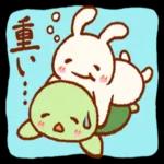 喜びセット🎁
