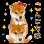 朝と晩は ち 京土 けいお