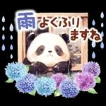 แพนด้าด้วยความเคารพ