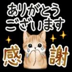 ご連絡いただき
ありがとう
ございます
^^