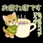 冬のキラキラおめめの子猫ちゃん