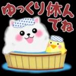 cute white Pomeranian summer 3