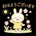 ✨白うさぎさん🐰 2