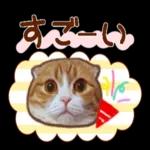 たれ耳ねこちゃん_見やすい！使いやすい♪